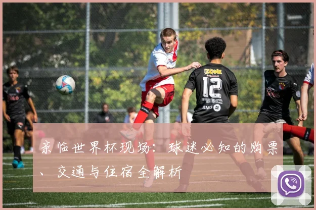亲临世界杯现场：球迷必知的购票、交通与住宿全解析