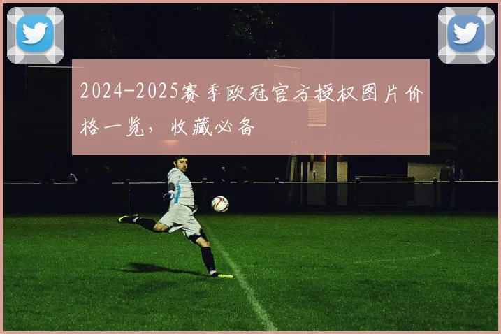 2024-2025赛季欧冠官方授权图片价格一览，收藏必备