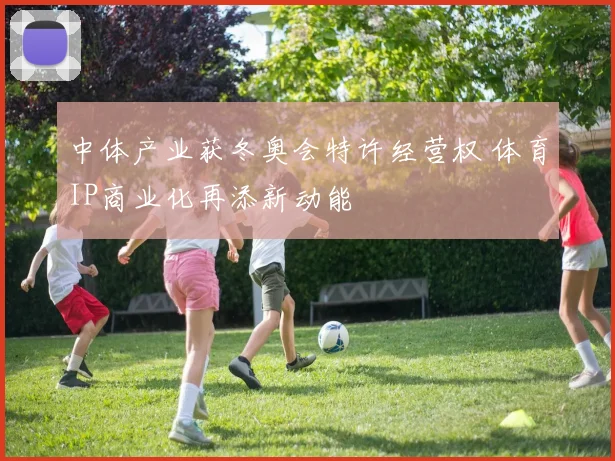 中体产业获冬奥会特许经营权 体育IP商业化再添新动能