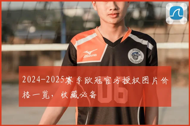 2024-2025赛季欧冠官方授权图片价格一览，收藏必备