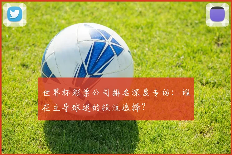 世界杯彩票公司排名深度专访：谁在主导球迷的投注选择？
