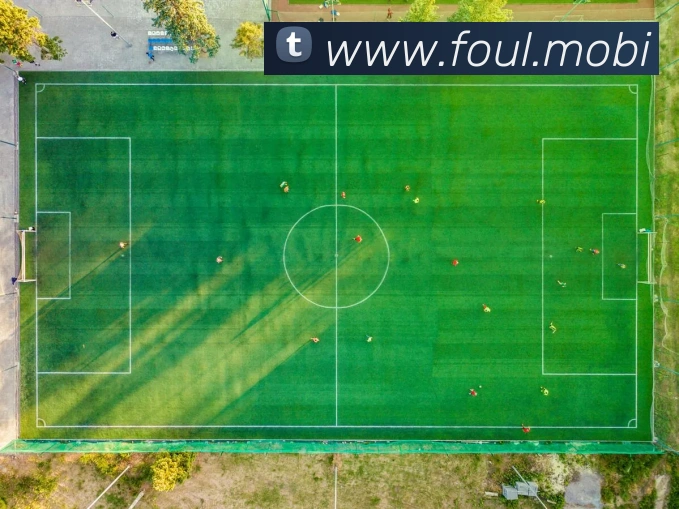 星空平台登录入口平台生态图